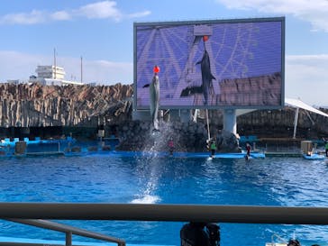 名古屋港水族館に投稿された画像（2022/1/3）