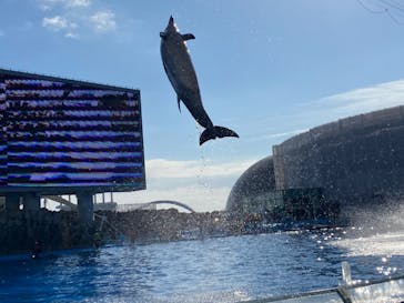名古屋港水族館に投稿された画像（2022/1/3）
