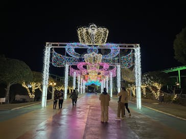 グリーンランドに投稿された画像（2022/1/3）