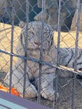 東武動物公園に投稿された画像（2022/1/3）