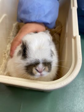 東武動物公園に投稿された画像（2022/1/3）