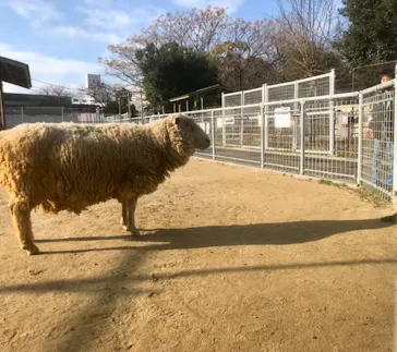 天王寺動物園に投稿された画像（2022/1/3）
