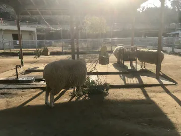 天王寺動物園に投稿された画像（2022/1/3）