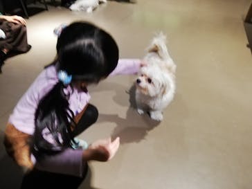 Moff animal world MARK IS みなとみらい店に投稿された画像（2022/1/3）