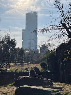 天王寺動物園に投稿された画像（2022/1/3）