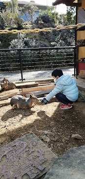 伊豆シャボテン動物公園に投稿された画像（2022/1/3）