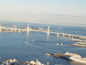 横浜ランドマークタワー 69階展望フロア スカイガーデンに投稿された画像（2022/1/3）
