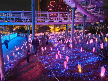 ひらかたパークに投稿された画像（2022/1/3）