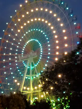 ひらかたパークに投稿された画像（2022/1/3）