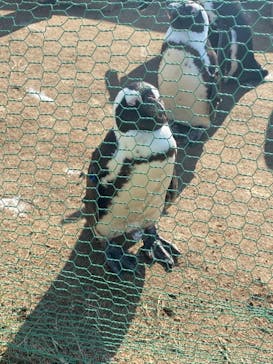 名古屋港水族館に投稿された画像（2022/1/3）