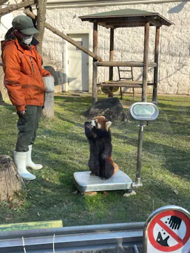 天王寺動物園に投稿された画像（2022/1/3）