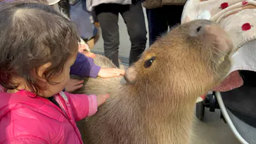 神戸どうぶつ王国に投稿された画像（2022/1/3）