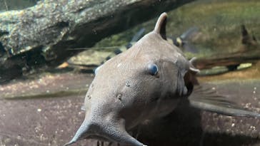 サンシャイン水族館に投稿された画像（2022/1/3）