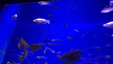 サンシャイン水族館に投稿された画像（2022/1/3）