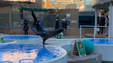 サンシャイン水族館に投稿された画像（2022/1/3）