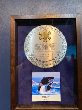 鴨川シーワールドに投稿された画像（2022/1/3）