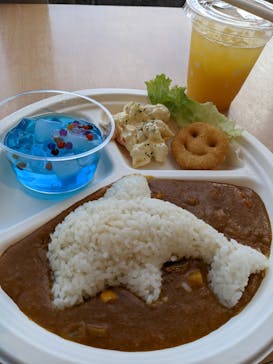 新江ノ島水族館に投稿された画像（2022/1/3）