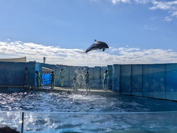 新江ノ島水族館に投稿された画像（2022/1/3）