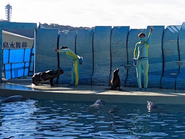 新江ノ島水族館に投稿された画像（2022/1/3）