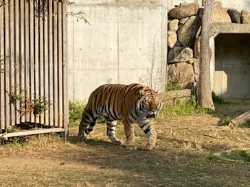 天王寺動物園に投稿された画像（2022/1/3）