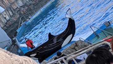 名古屋港水族館に投稿された画像（2022/1/3）