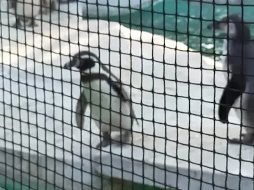 天王寺動物園に投稿された画像（2022/1/3）