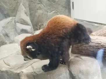 天王寺動物園に投稿された画像（2022/1/3）