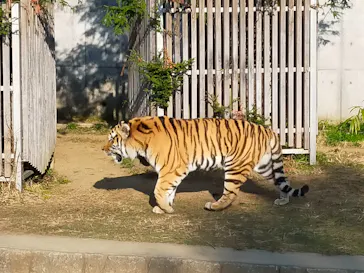 天王寺動物園に投稿された画像（2022/1/3）