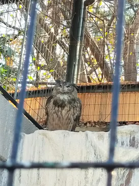 天王寺動物園に投稿された画像（2022/1/3）