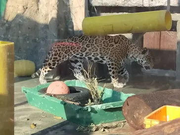 天王寺動物園に投稿された画像（2022/1/3）