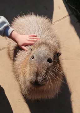 横浜・八景島シーパラダイスに投稿された画像（2022/1/3）
