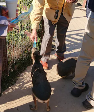 横浜・八景島シーパラダイスに投稿された画像（2022/1/3）