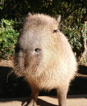 横浜・八景島シーパラダイスに投稿された画像（2022/1/3）