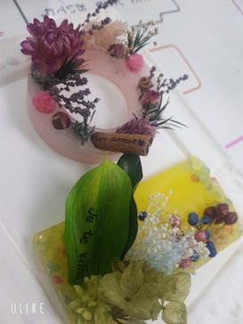 ずこうしつ〜sugamo〜に投稿された画像（2022/1/3）