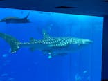 沖縄美ら海水族館に投稿された画像（2022/1/3）