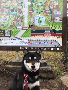 伊豆アニマルキングダムに投稿された画像（2022/1/3）