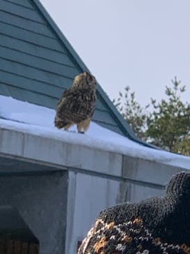 那須どうぶつ王国に投稿された画像（2022/1/3）