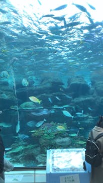 名古屋港水族館に投稿された画像（2022/1/3）