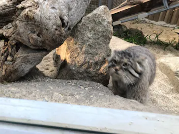 神戸どうぶつ王国に投稿された画像（2022/1/3）