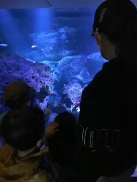 すみだ水族館に投稿された画像（2022/1/3）