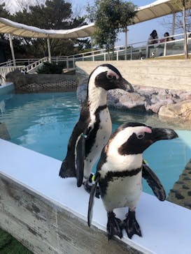 マリンワールド海の中道に投稿された画像（2022/1/3）