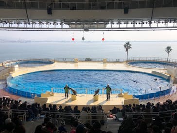 マリンワールド海の中道に投稿された画像（2022/1/3）
