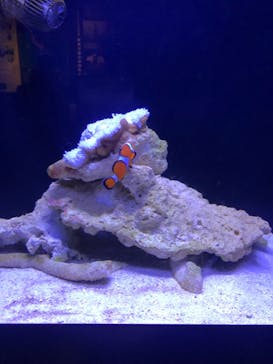 マリンワールド海の中道に投稿された画像（2022/1/3）