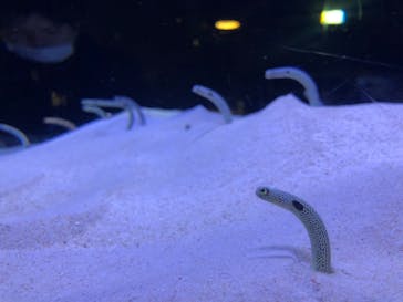 マリンワールド海の中道に投稿された画像（2022/1/3）