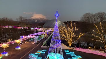 とっとり花回廊に投稿された画像（2022/1/3）