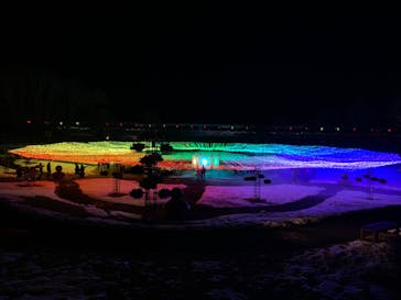 とっとり花回廊に投稿された画像（2022/1/3）