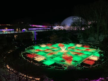 とっとり花回廊に投稿された画像（2022/1/3）