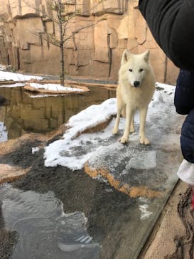 那須どうぶつ王国に投稿された画像（2022/1/3）