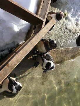 那須どうぶつ王国に投稿された画像（2022/1/3）