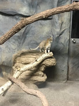 那須どうぶつ王国に投稿された画像（2022/1/3）